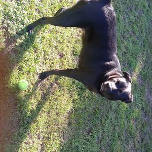 Meet your Posher, Carter